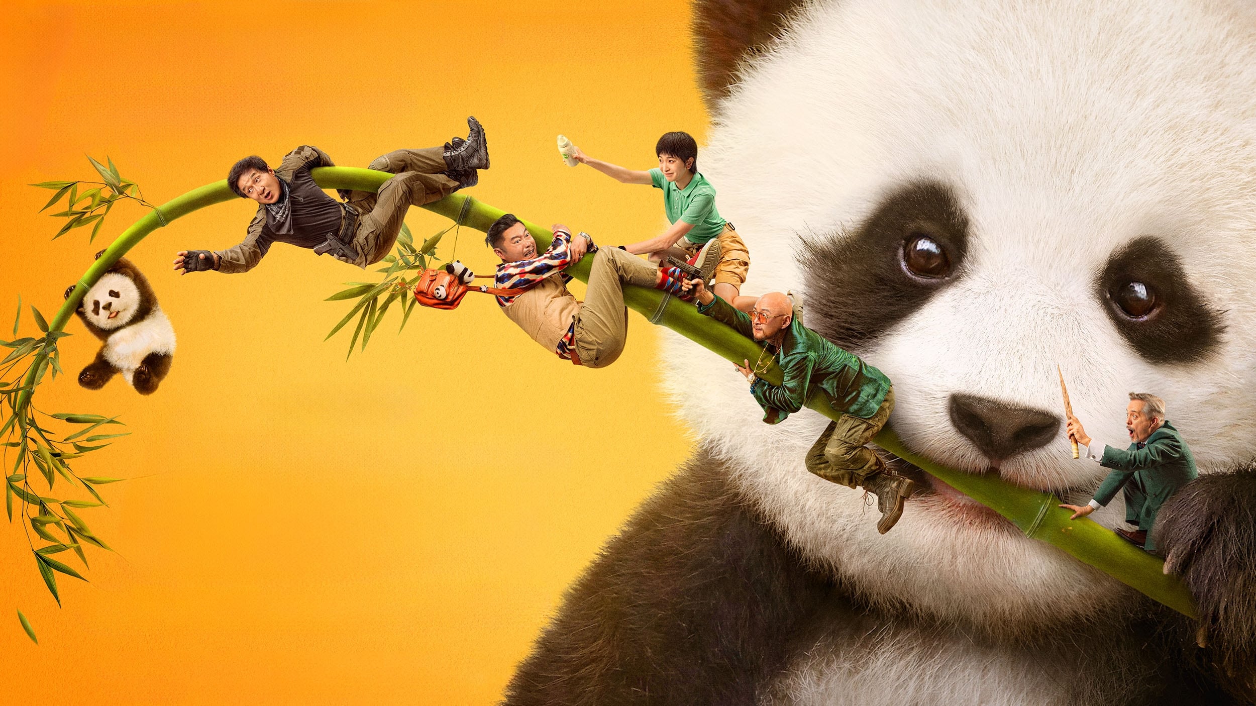 فيلم Panda Plan 2024 مترجم اون لاين