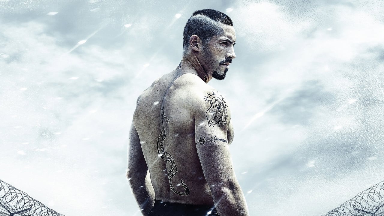 فيلم Boyka Undisputed 4 مترجم