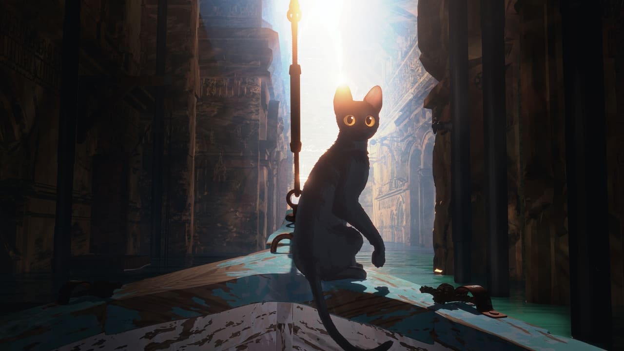 فيلم Flow 2024 مترجم