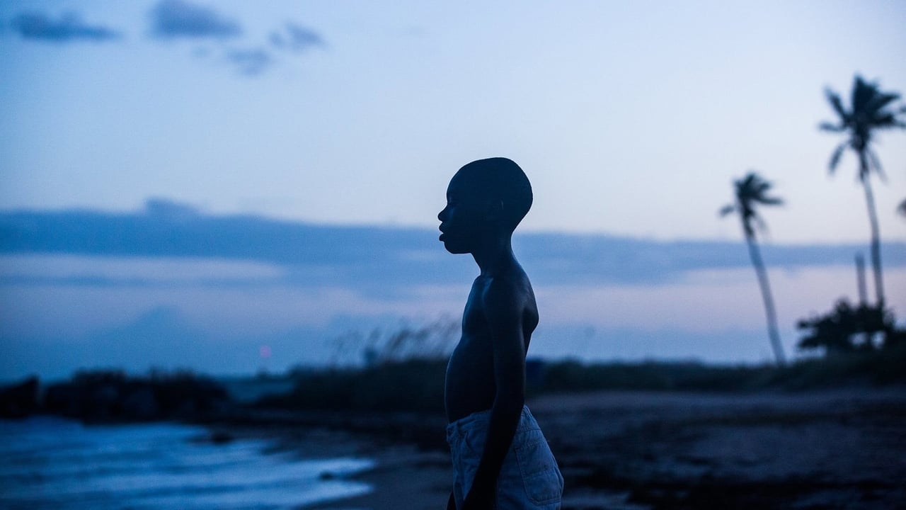 فيلم Moonlight 2016 مترجم